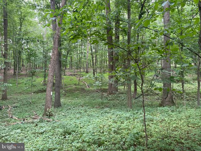 583 Gaither Road Sykesville, MD 21784 - Photo 11 of 11