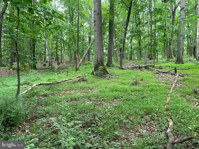 583 Gaither Road Sykesville, MD 21784 - Photo 2 of 11