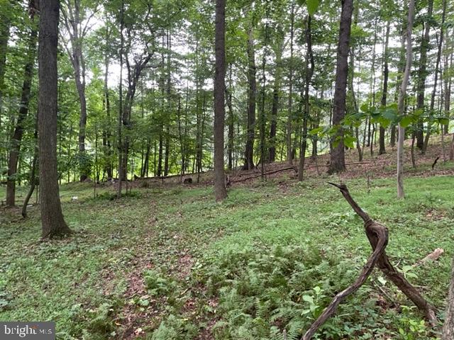 583 Gaither Road Sykesville, MD 21784 - Photo 3 of 11