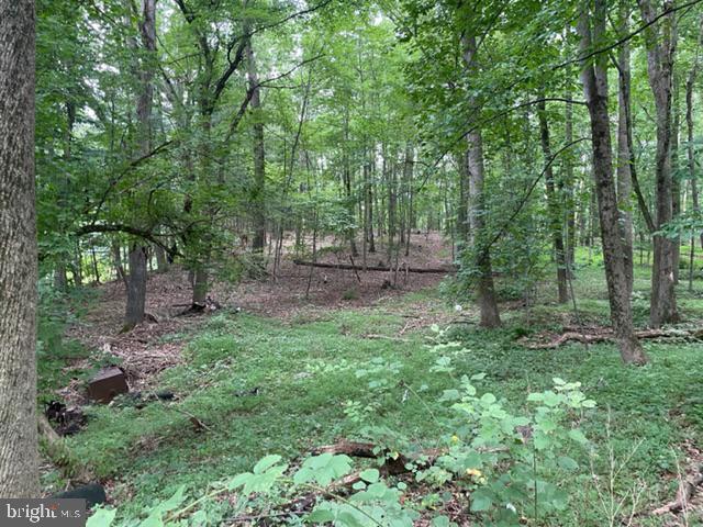 583 Gaither Road Sykesville, MD 21784 - Photo 4 of 11