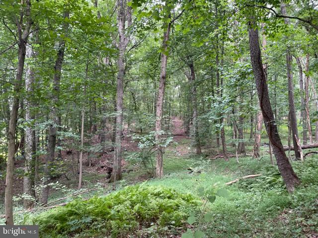 583 Gaither Road Sykesville, MD 21784 - Photo 5 of 11