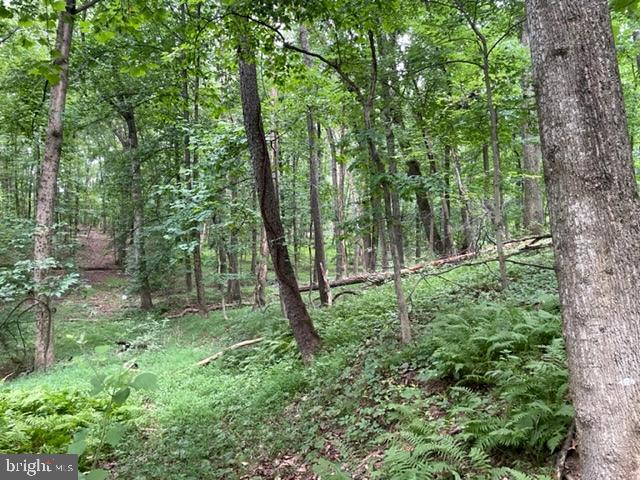 583 Gaither Road Sykesville, MD 21784 - Photo 6 of 11