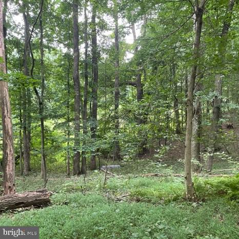 583 Gaither Road Sykesville, MD 21784 - Photo 7 of 11