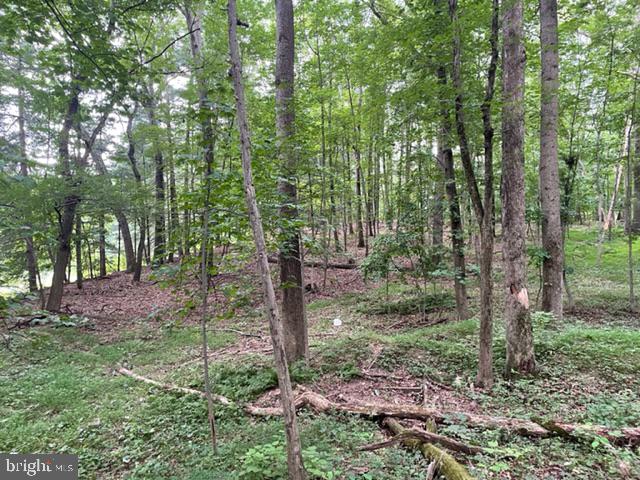 583 Gaither Road Sykesville, MD 21784 - Photo 8 of 11