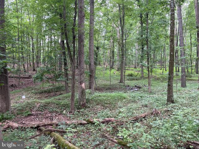 583 Gaither Road Sykesville, MD 21784 - Photo 9 of 11