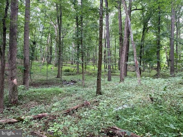 583 Gaither Road Sykesville, MD 21784 - Photo 10 of 11