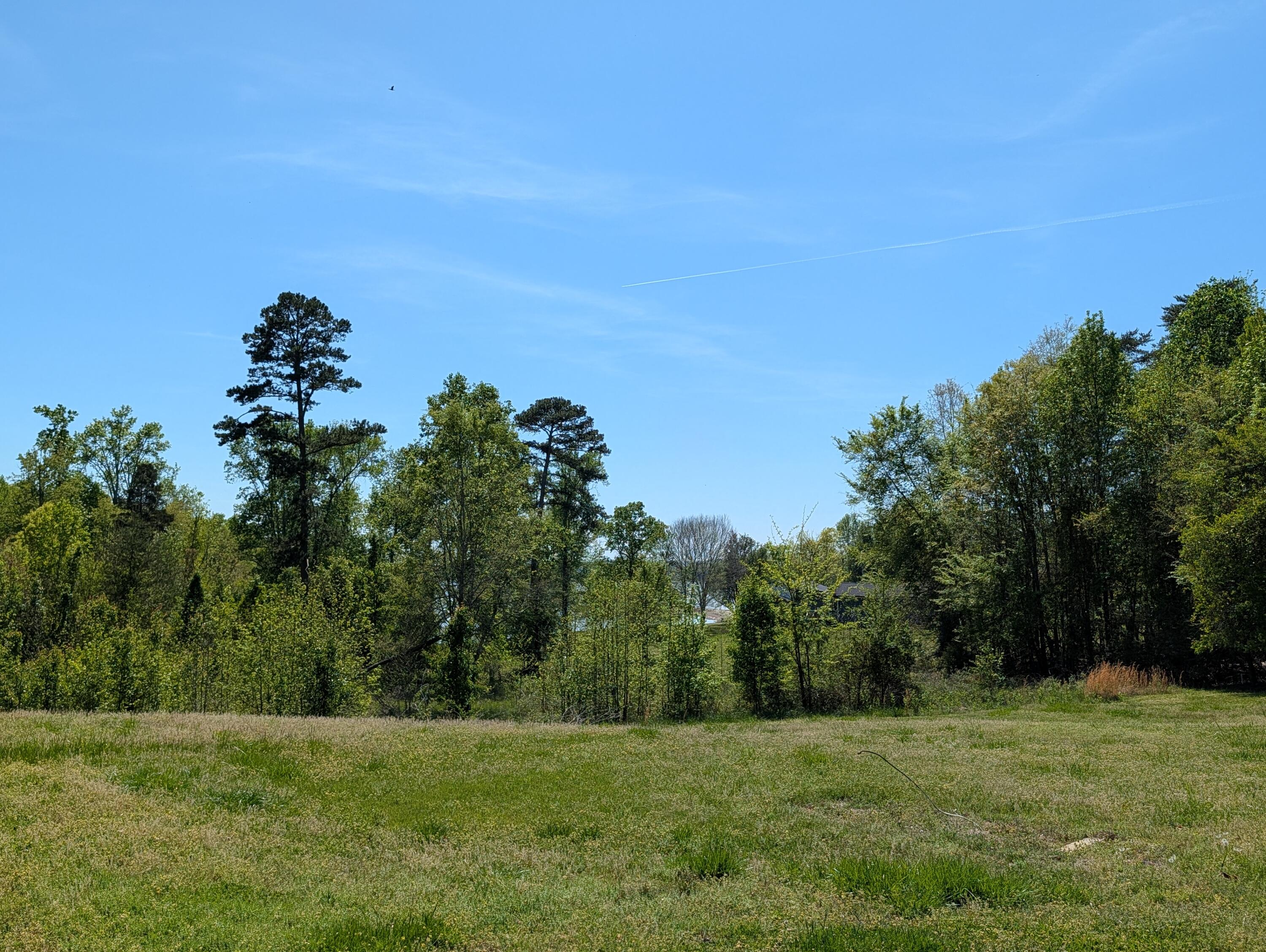 2285 Euchee Chapel Road Spring City, TN 37381 - Photo 64 of 67 PXL_20260410_191404664