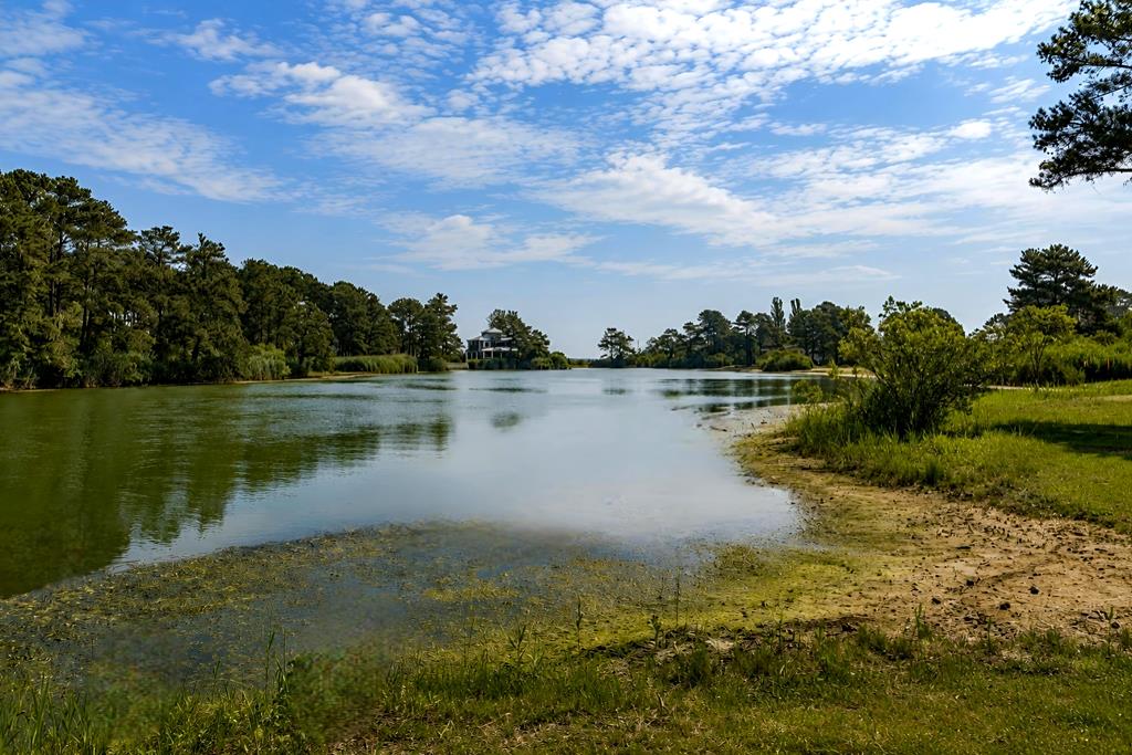 5290 Lakeview Road Chincoteague Island, VA 23336 - Photo 48 of 54