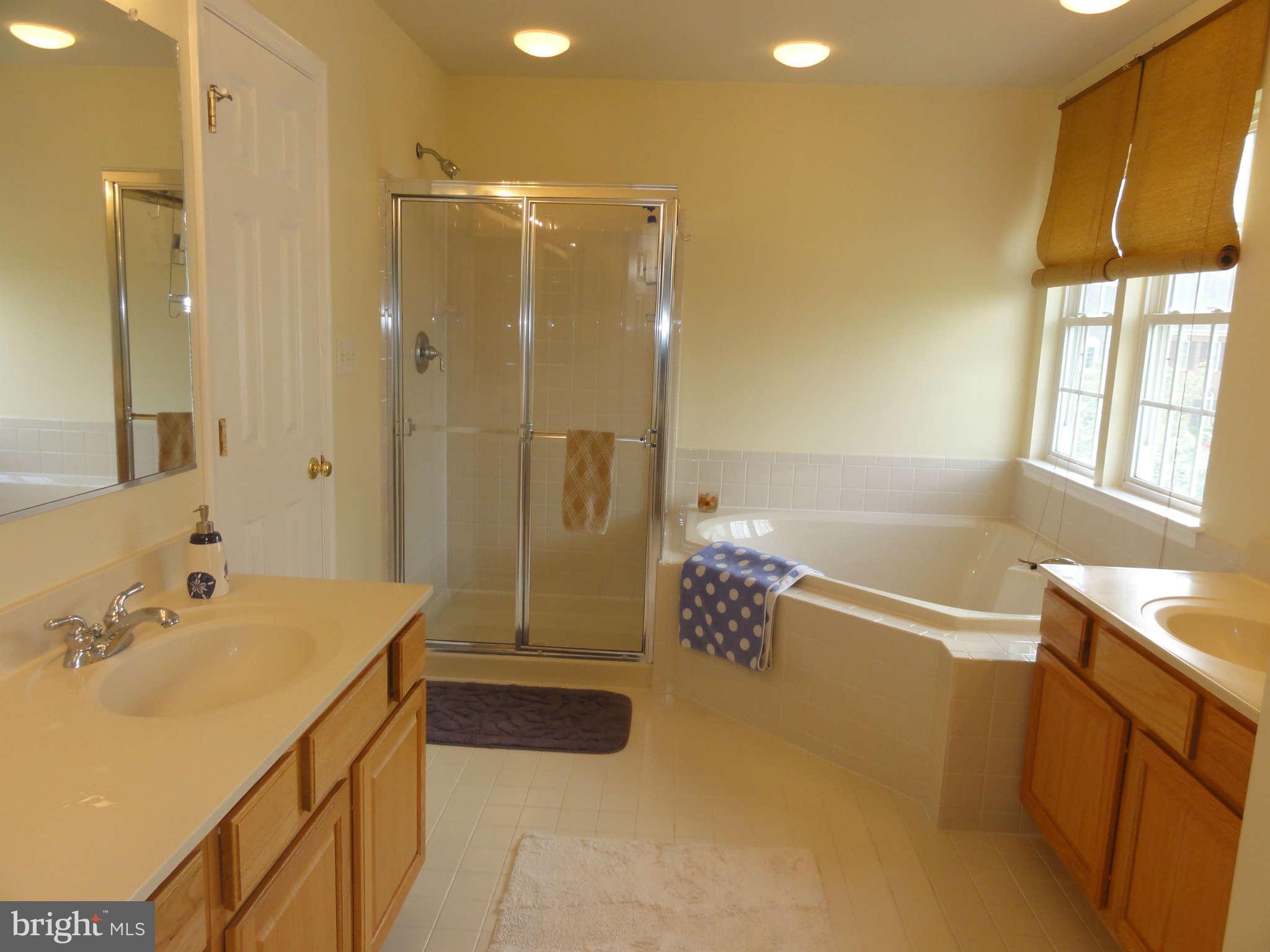 14020 Bromfield Road Germantown, MD 20874 - Photo 12 of 30 Bath (Master)