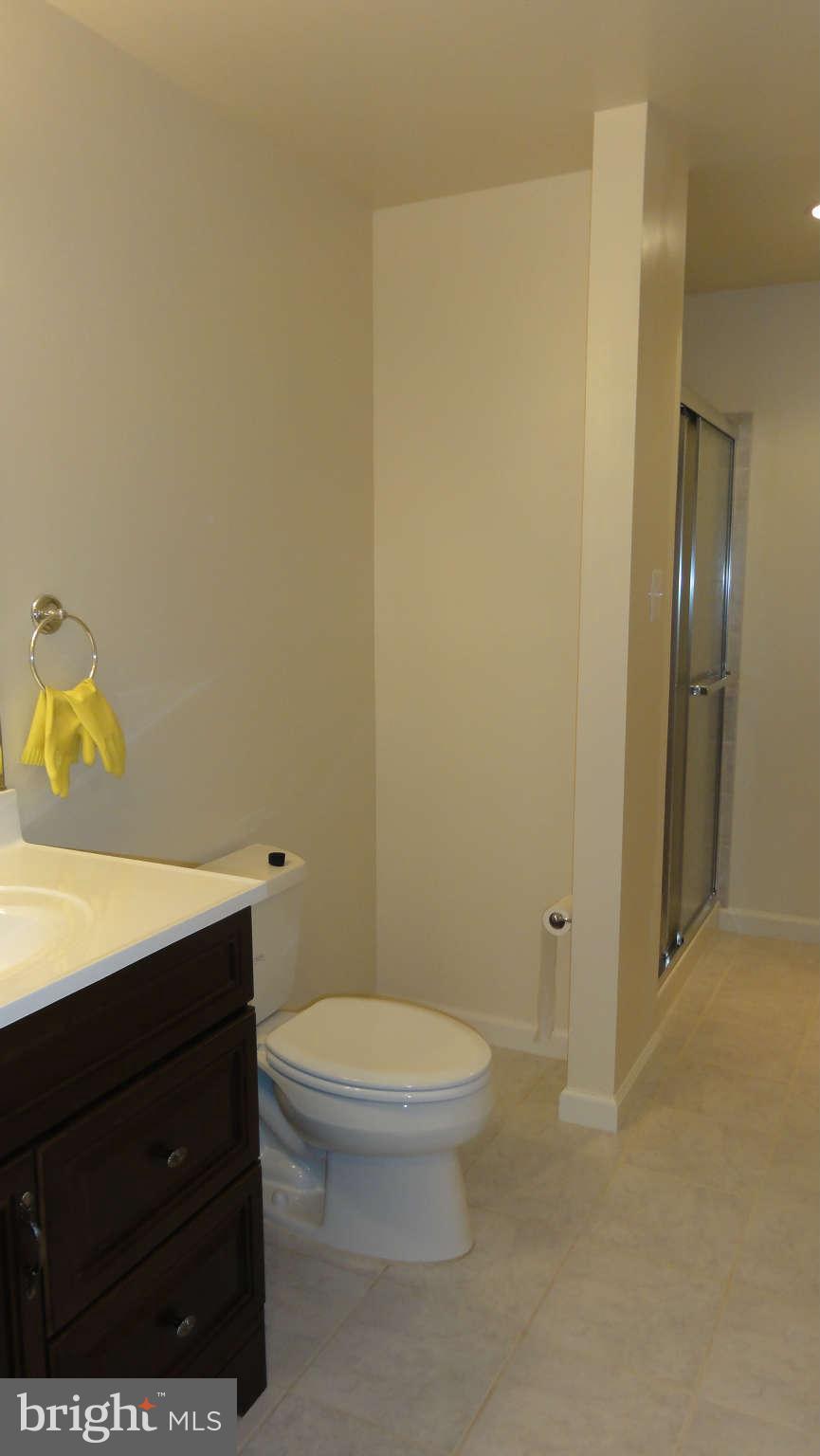 14020 Bromfield Road Germantown, MD 20874 - Photo 8 of 30 full bath in basement
