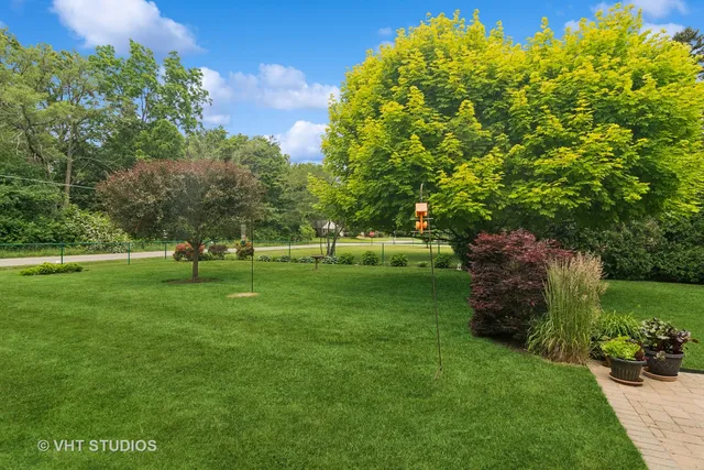 a view of a park with trees and grass