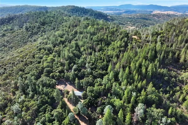 a view of a lush green forest with mountains in the background