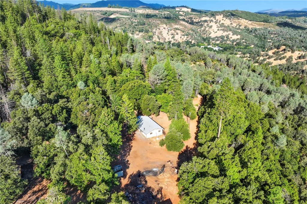 13028 Riata Road Lower Lake, CA 95457 - Photo 22 of 40 a view of a yard with a tree