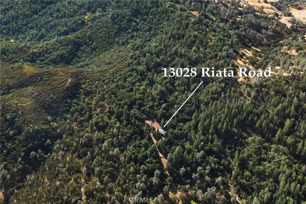 13028 Riata Road Lower Lake, CA 95457 - Photo 24 of 40 a sign of golf club on a tree