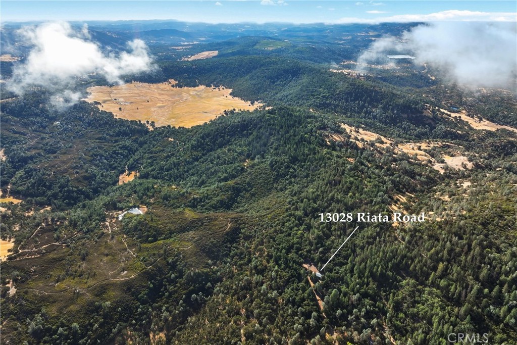 13028 Riata Road Lower Lake, CA 95457 - Photo 25 of 40 a view of a yard of a house