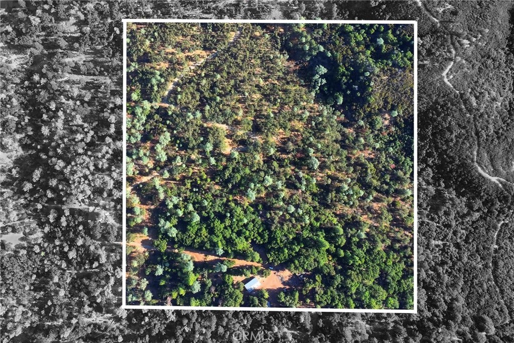 13028 Riata Road Lower Lake, CA 95457 - Photo 29 of 40 a view of a yard