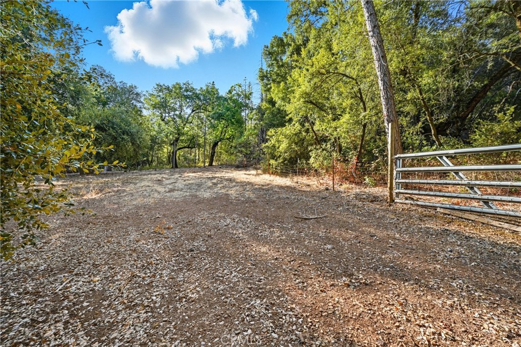13028 Riata Road Lower Lake, CA 95457 - Photo 34 of 40 a view of backyard with green space