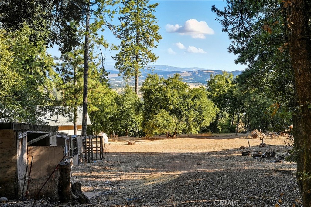 13028 Riata Road Lower Lake, CA 95457 - Photo 35 of 40 a view of yard