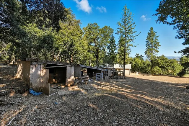 a backyard of a house with chairs and a tree