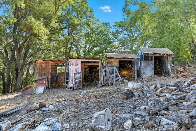 a view of a yard with a tree
