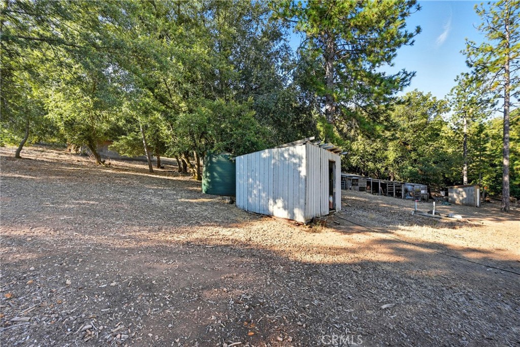 13028 Riata Road Lower Lake, CA 95457 - Photo 39 of 40 a view of a yard with a tree