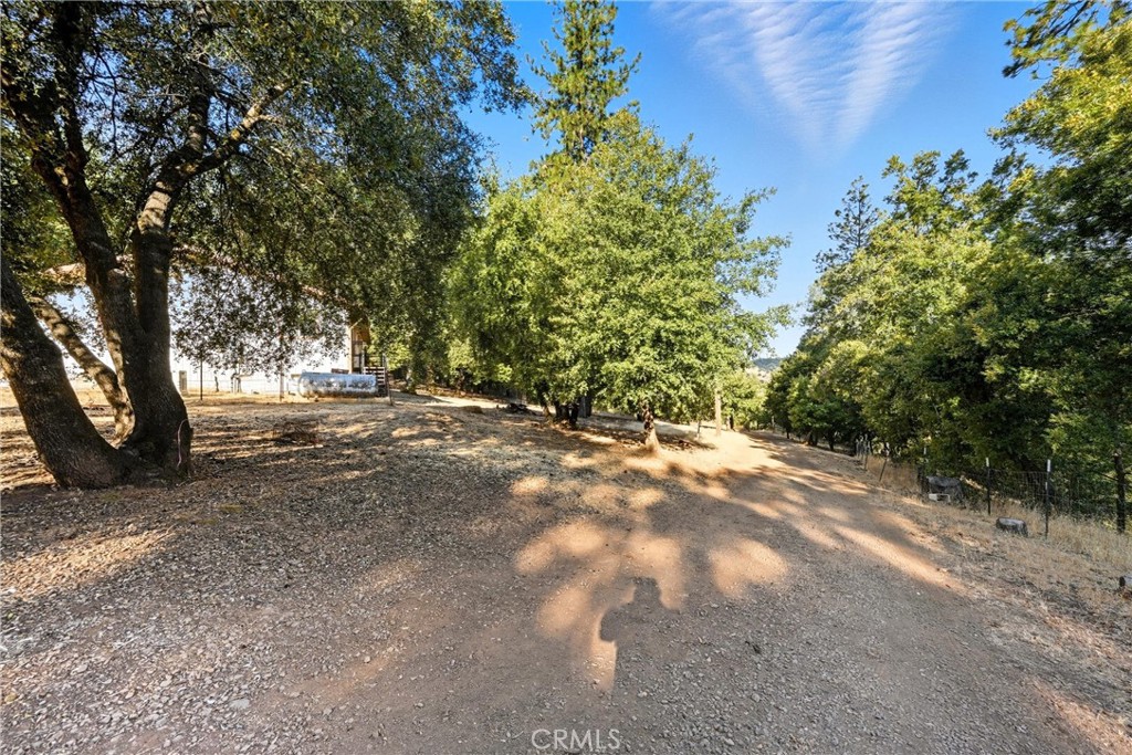 13028 Riata Road Lower Lake, CA 95457 - Photo 40 of 40 a view of outdoor space with trees