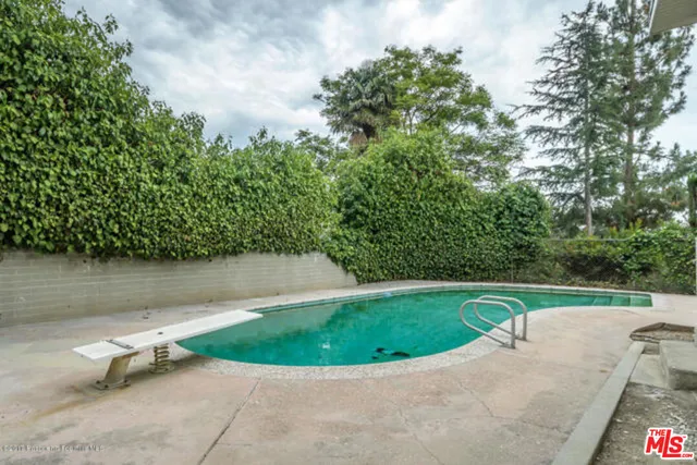 a view of a forest with a tree