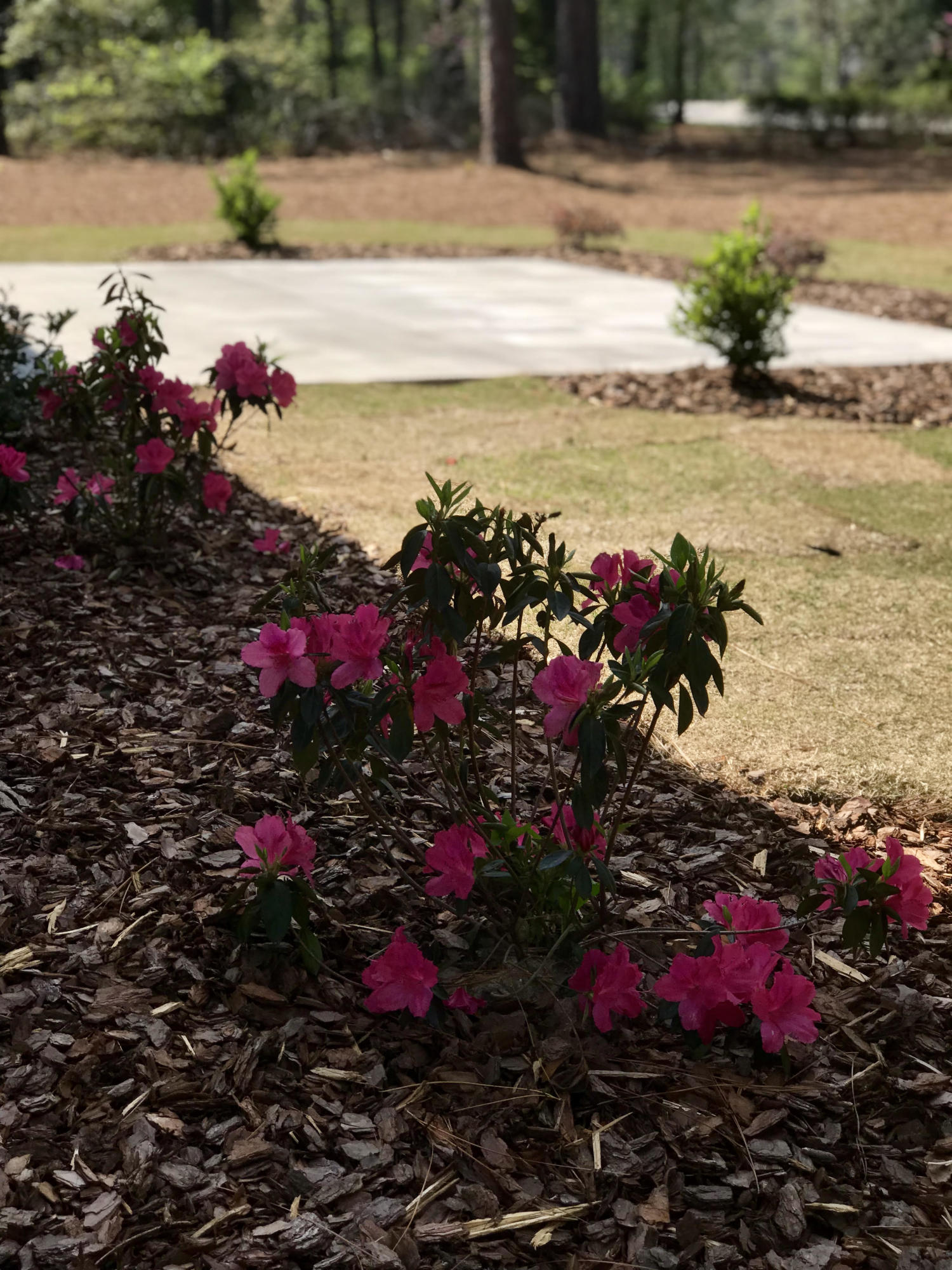2 Raintree Court Pinehurst, NC 28374 - Photo 17 of 21 unnamed-6