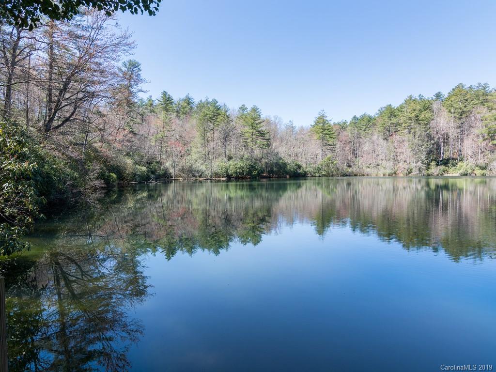 458 Robin Hood Road Brevard, NC 28712 - Photo 36 of 36 Gallery Image 36