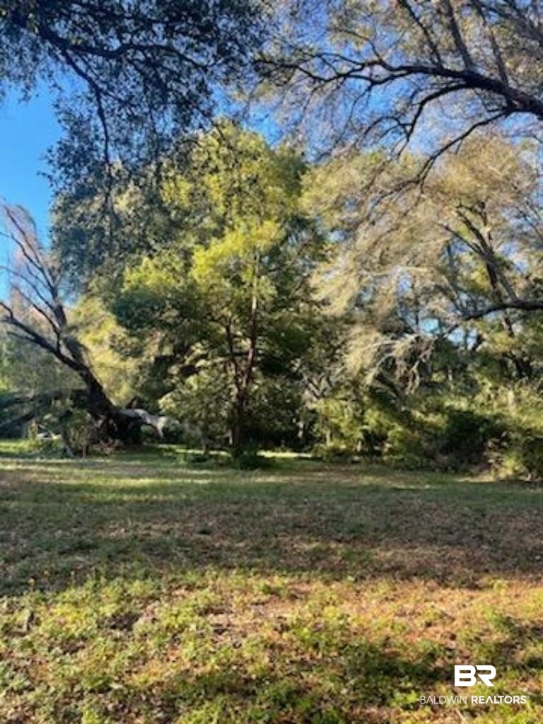 10501 Tillman Lane Foley, AL 36535 - Photo 6 of 9