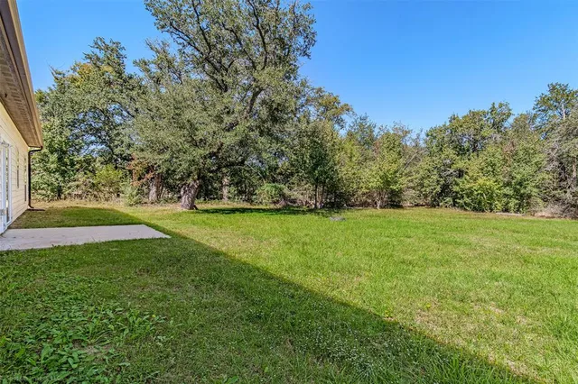 a view of yard with green space