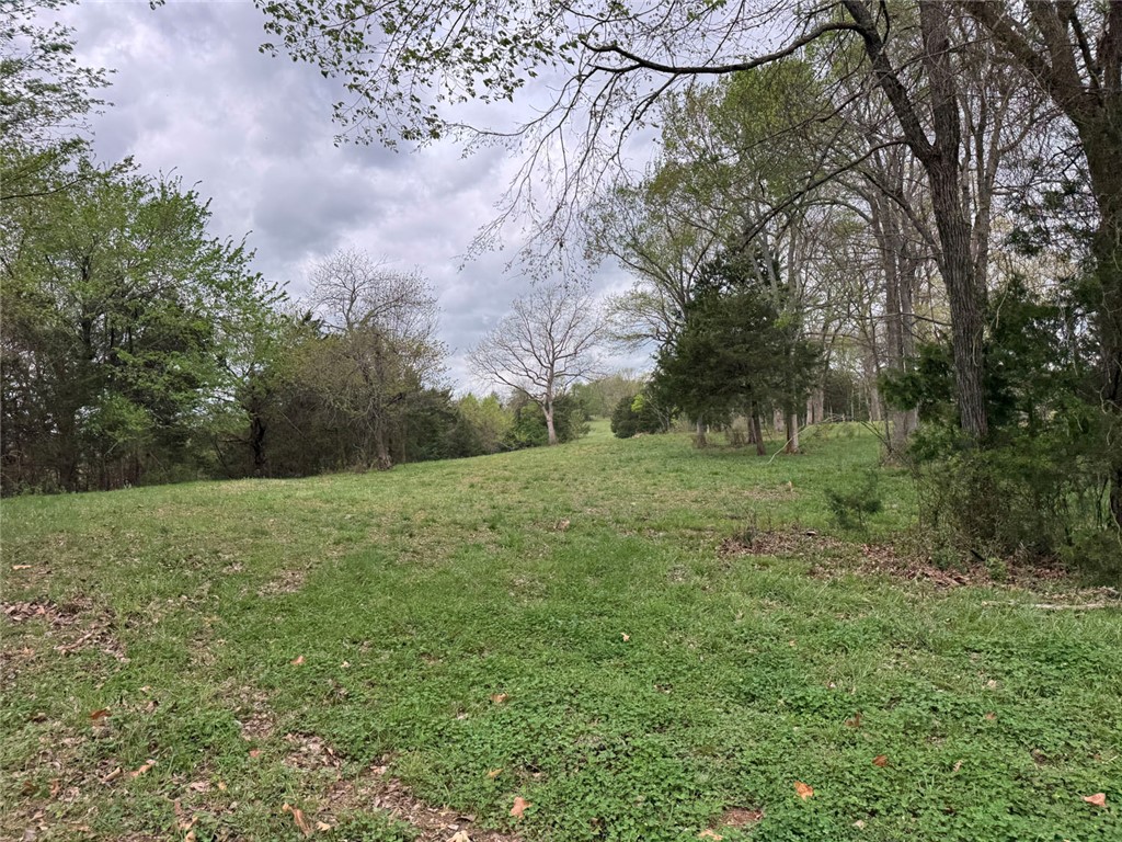 10191 Rally Hill Road Everton, AR 72633 - Photo 39 of 59 View of grassy yard