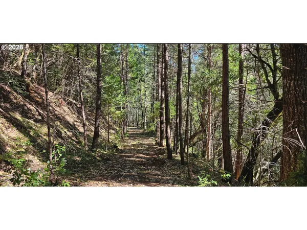 $159,500 | 0 Caves Highway, Cave Junction, OR 97523