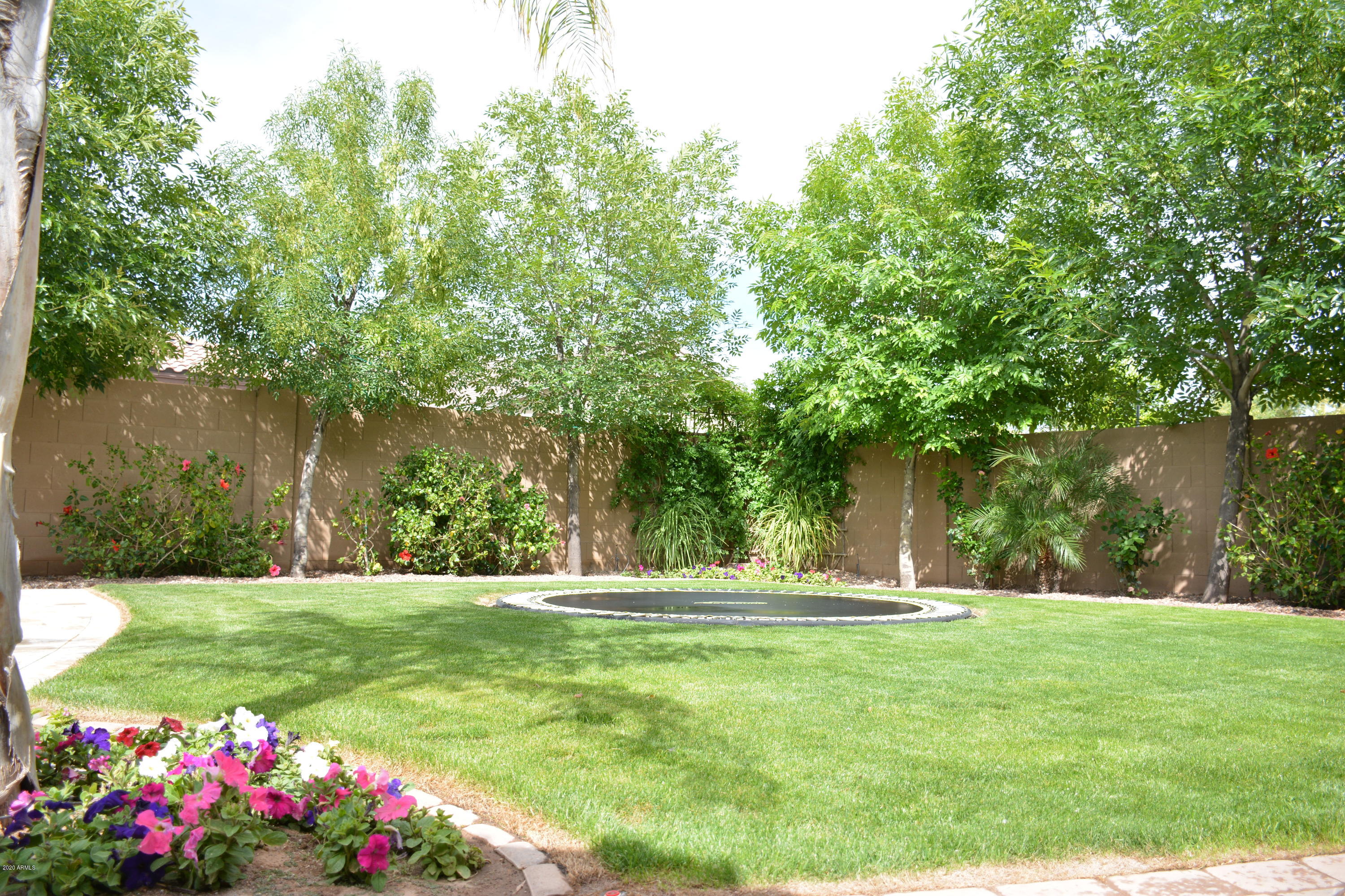 19756 Walnut Road Queen Creek, AZ 85142 - Photo 68 of 105 DSC_7578
