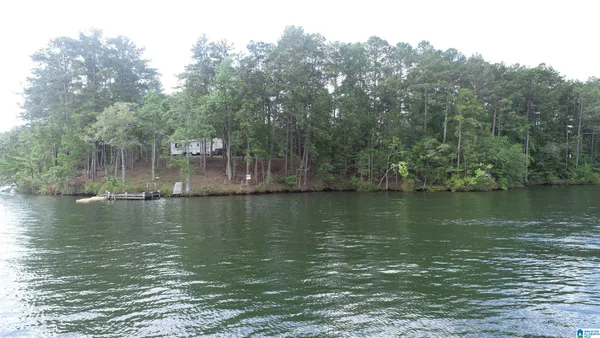 $695,000 | 0 County Road 804, Wedowee, AL 36278