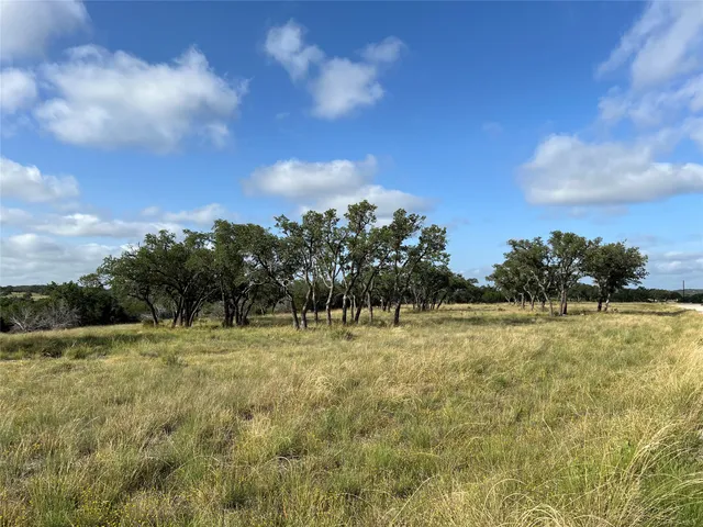 a view of large trees with wooden fence
