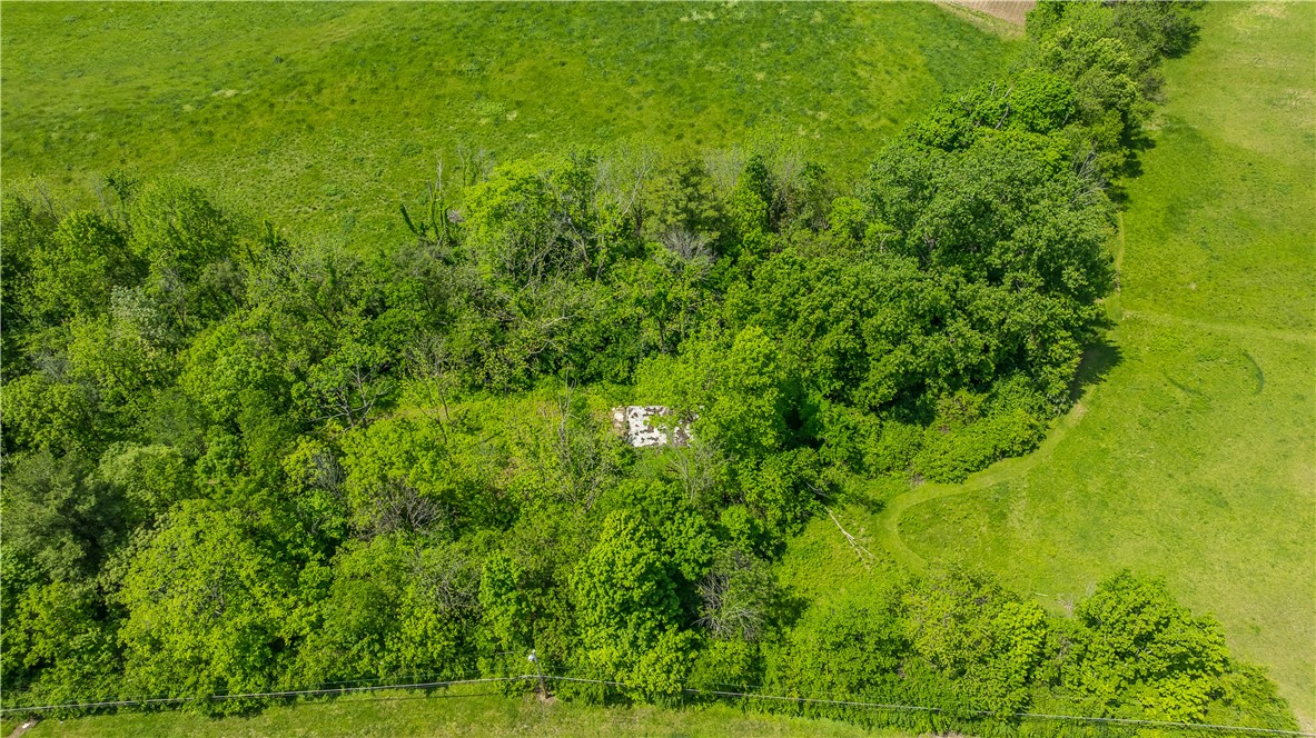 4617 Bath Road Dayton, OH 45424 - Photo 1 of 8 Discover a secluded building site nestled within a verdant, tree-lined landscape, offering peaceful rural living.