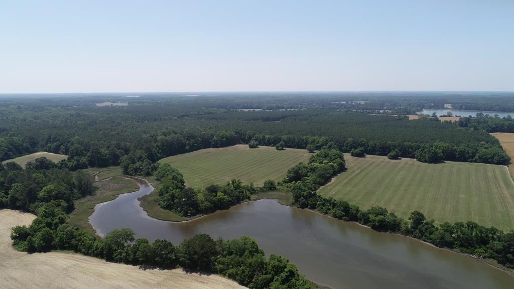 0 Cedar View Road Painter, VA 23420 - Photo 39 of 72