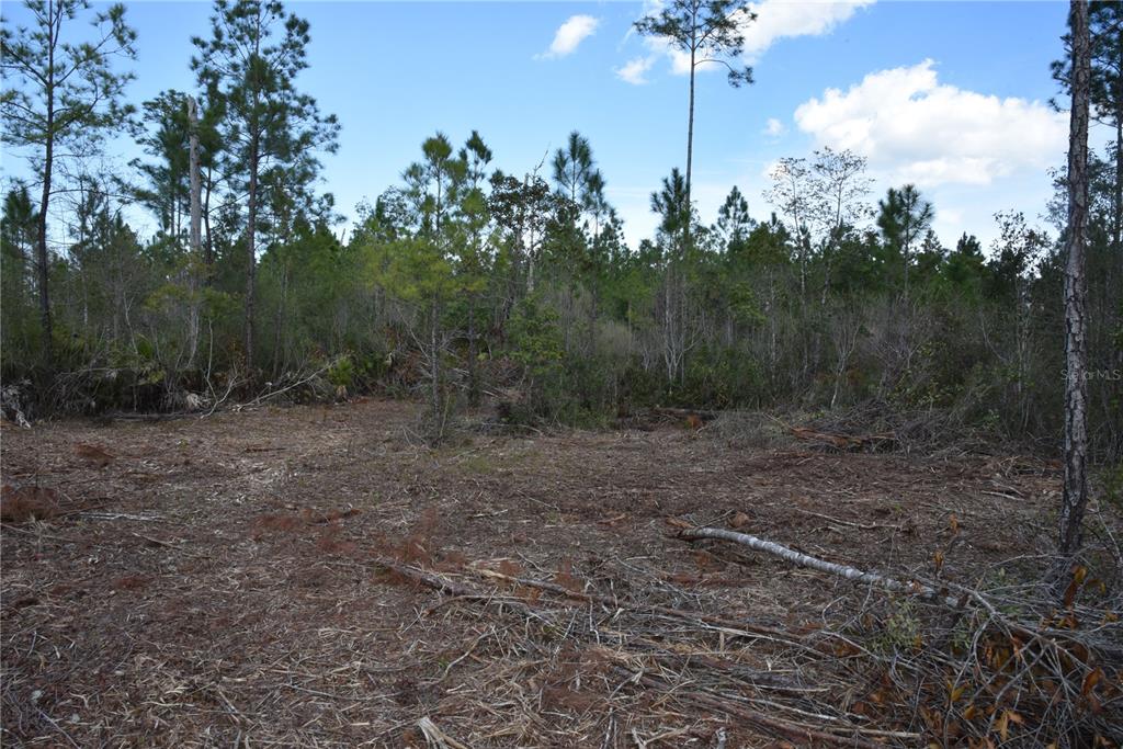 Sun Gdn Road Palatka, FL 32177 - Photo 15 of 28 a view of a outdoor space