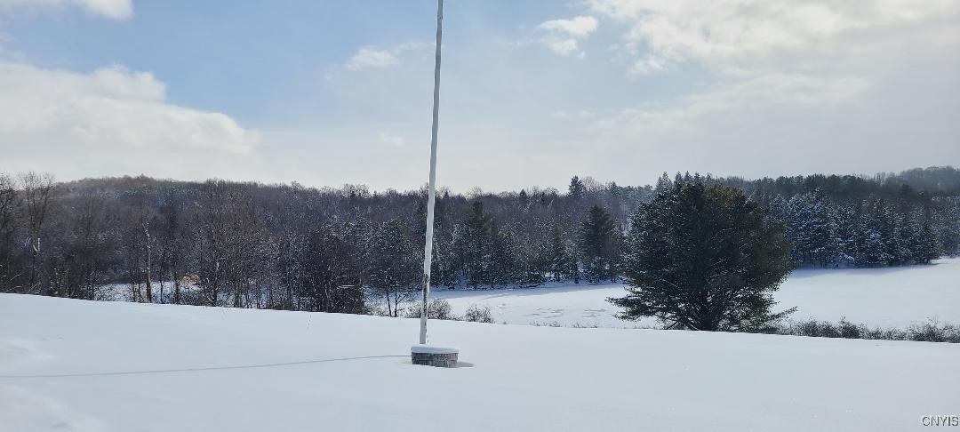 143 Lake Road Columbia, NY 13491 - Photo 25 of 34