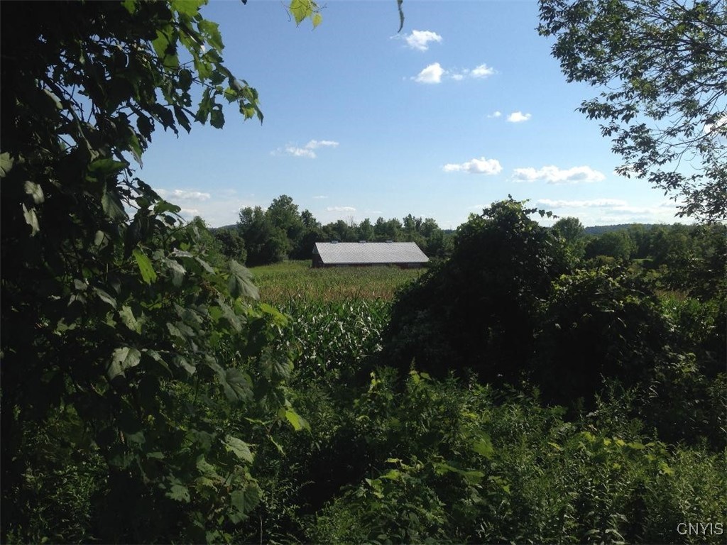 143 Lake Road Columbia, NY 13491 - Photo 3 of 34