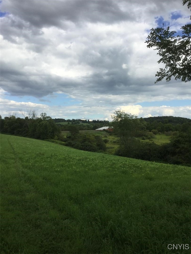 143 Lake Road Columbia, NY 13491 - Photo 32 of 34