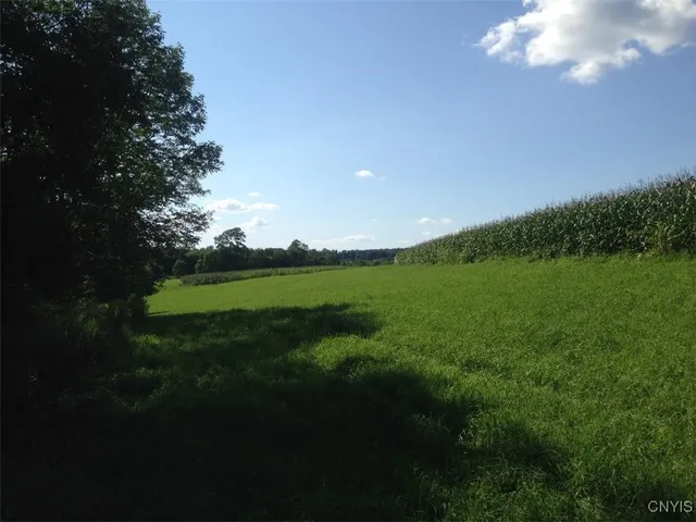 $1,400,000 | 143 Lake Road, Columbia, NY 13491