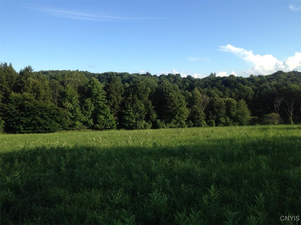 143 Lake Road Columbia, NY 13491 - Photo 5 of 34