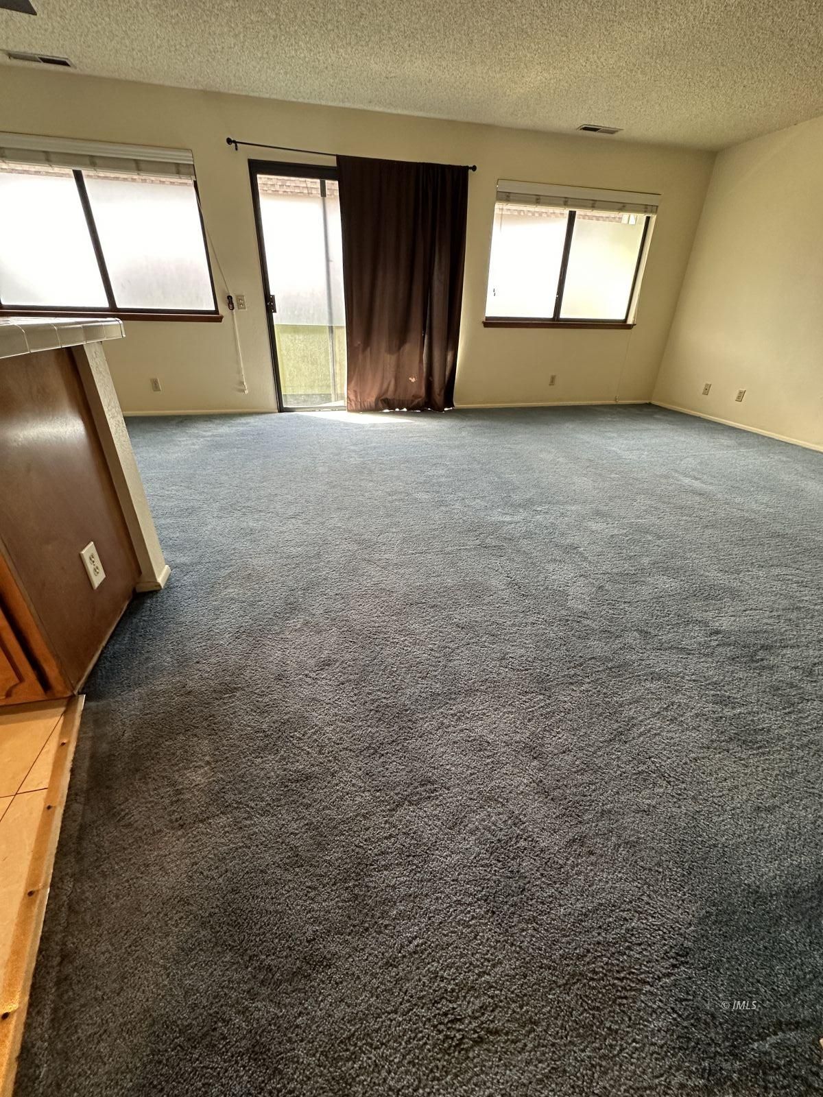 263 East Line Street, Unit F Bishop, CA 93514 - Photo 3 of 13 an empty room with a fireplace and windows