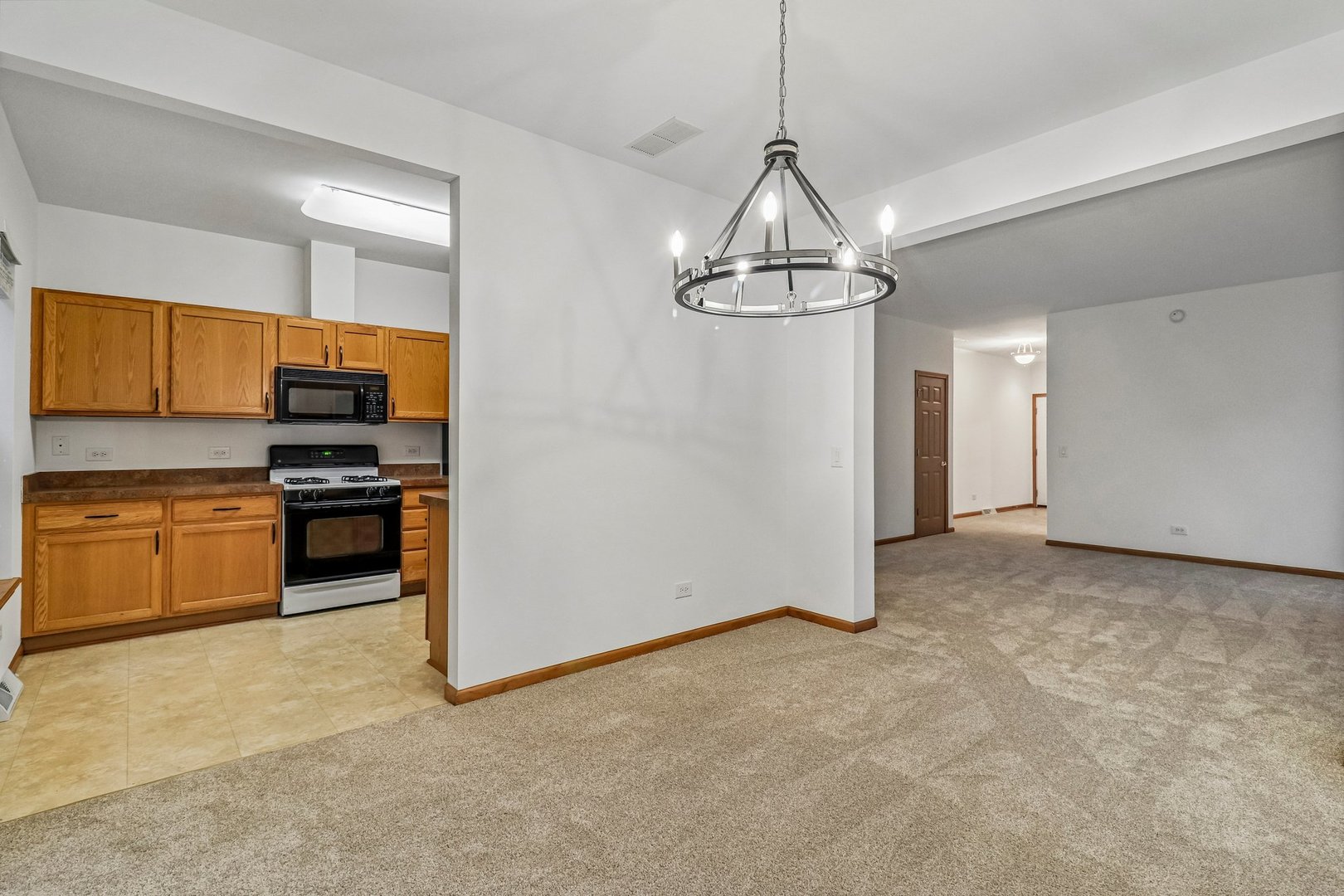 227 Rodeo Drive Grayslake, IL 60030 - Photo 9 of 30