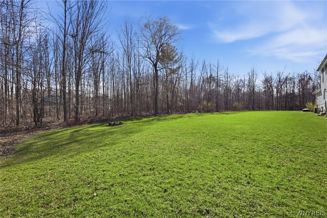 2665 Lakeview Road Hamburg, NY 14085 - Photo 44 of 50