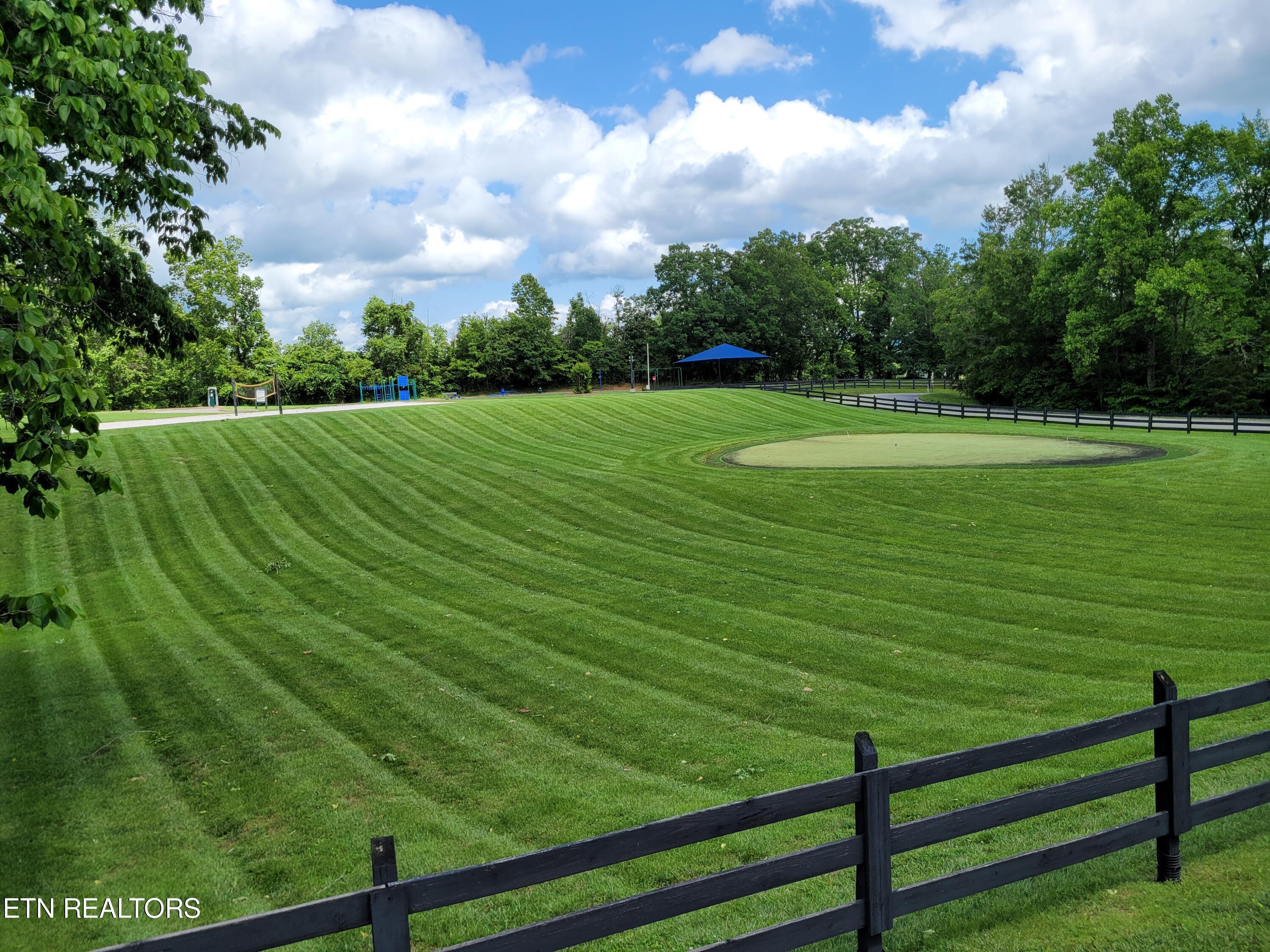 Marble Point Way New Tazewell, TN 37825 - Photo 8 of 11 Putting Green