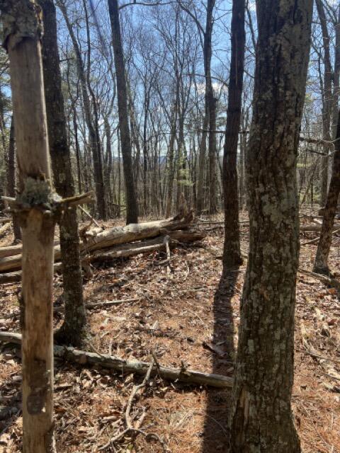 357 Sawmill Road Stroudsburg, PA 18360 - Photo 20 of 24 IMG_1400 Medium