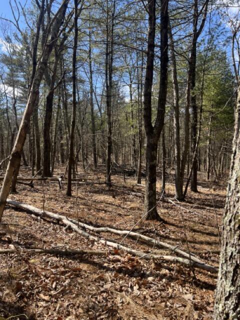 357 Sawmill Road Stroudsburg, PA 18360 - Photo 21 of 24 IMG_1401 Medium